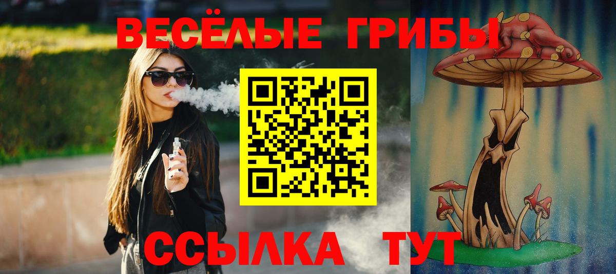 Галлюциногенные грибы GOLDEN TEACHER Ивантеевка